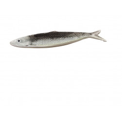Plat en forme de sardine