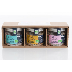 Trio de sels de Guérande IGP spécial poisson