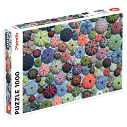 Puzzle oursin 1000 pièces