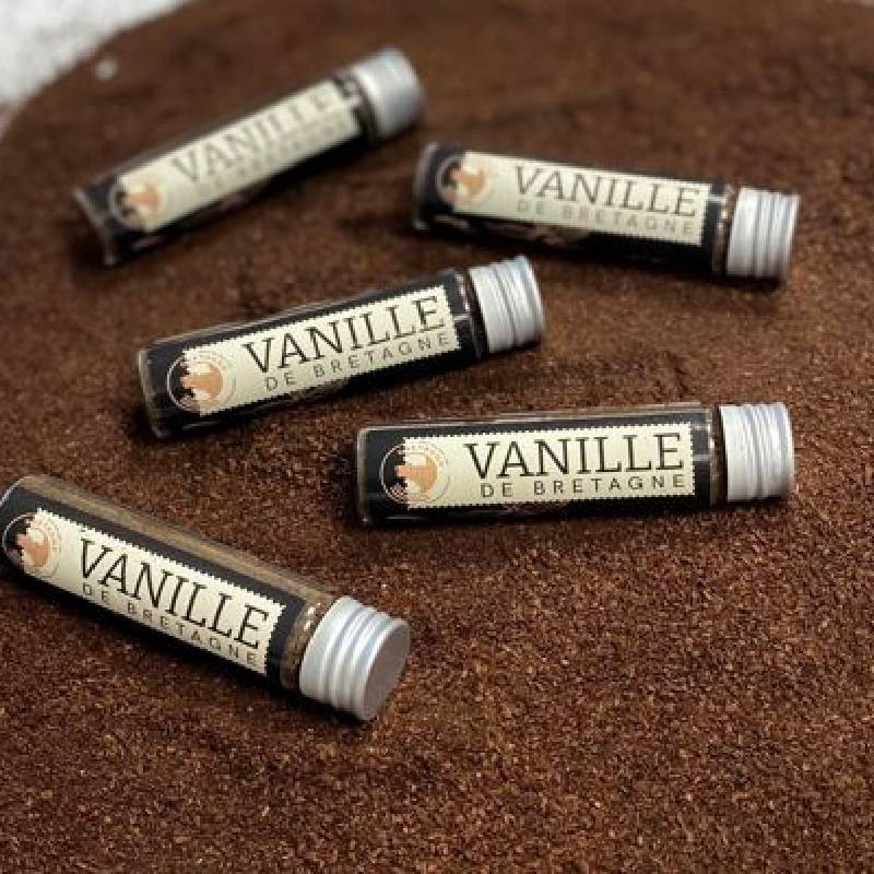 POUDRE DE VANILLE